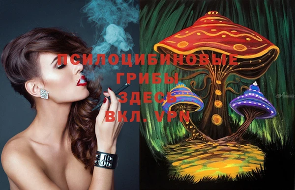 mdma Вяземский