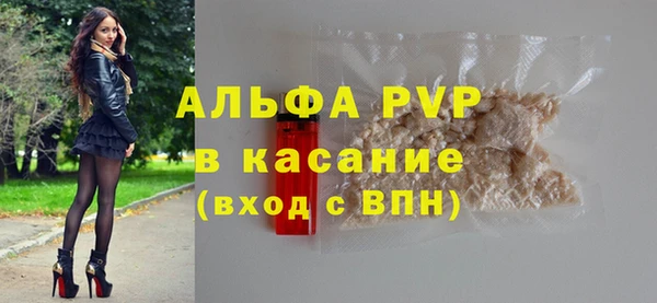 прущие грибы Горнозаводск