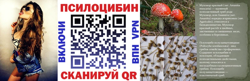 Псилоцибиновые грибы мицелий  Купить где  Осинники 